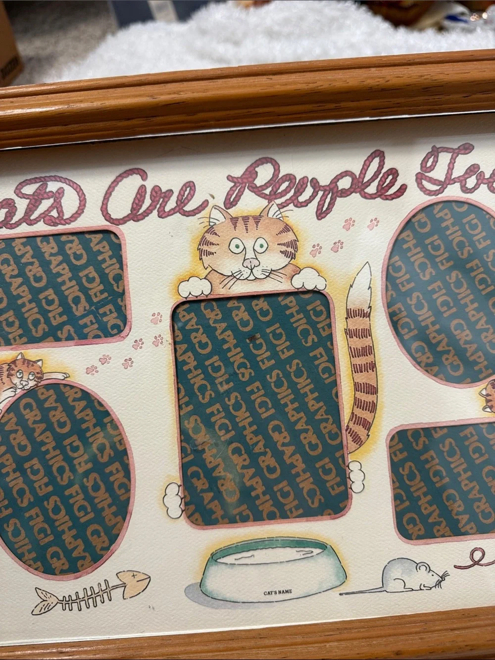 Framed picture holder for cats only!